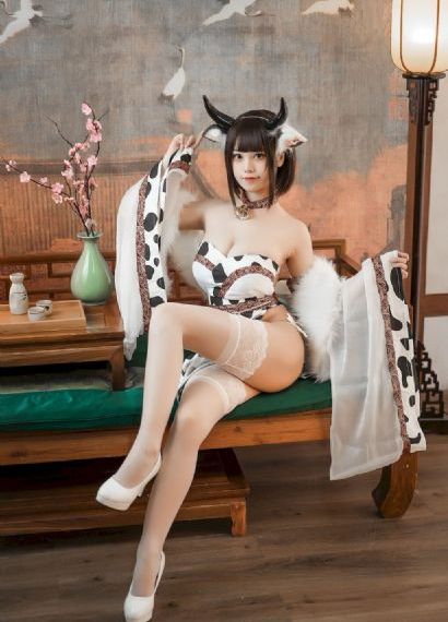 夜车在线无删减播放_全集在线观看